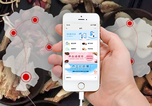 互聯(lián)網+中醫(yī)藥軟件平臺